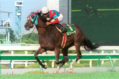 2002年 馬|競馬